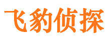 红河侦探